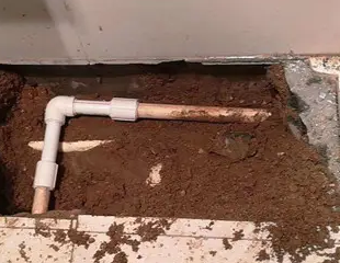 丛台测漏水哪家好