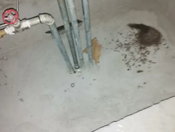 丛台卫生间测漏水价格明细